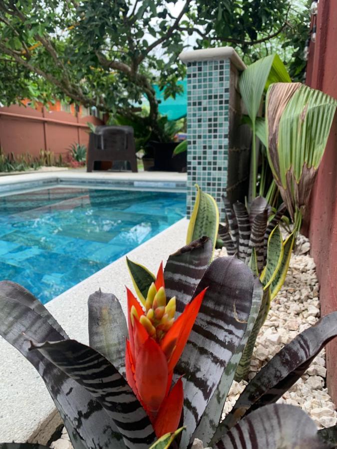 Villa Jade, La Fortuna Downtown Экстерьер фото